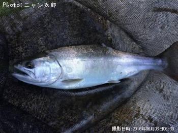 ��ޥ�