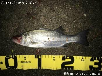 �����Х��ʥҥ饻������