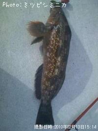 �����ʥ�