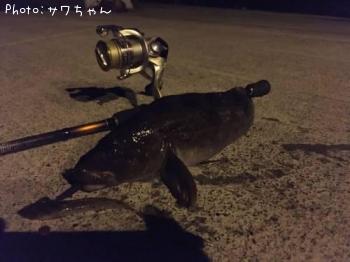 �����ʥ�