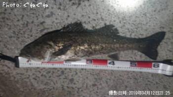 �����Х�