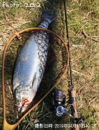 ������ޥ�