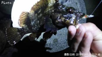 �����Υ���Х�