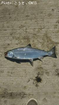 ������ޥ�