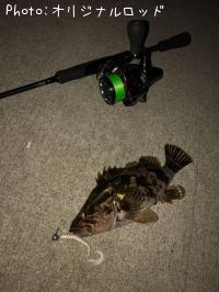 ¥¿¥±¥Î¥³¥á¥Ð¥ë