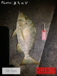 ���ޥ�ڥϥޥե��ե���