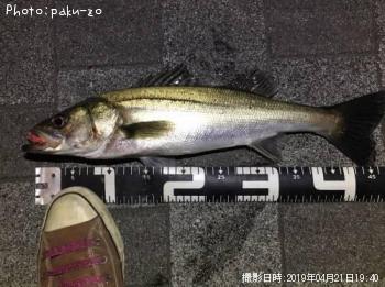 �����Х�