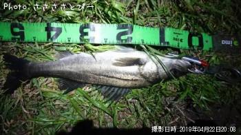 �����Х�