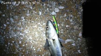 �����Х�