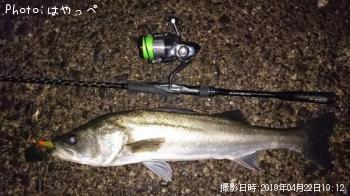 �����Х�