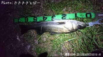 �����Х�