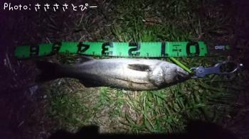 �����Х�