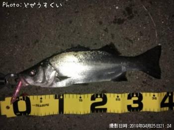 �����Х��ʥҥ饻������