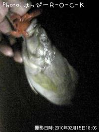 �����ʥ�