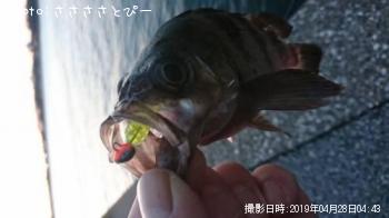 ��Х����饽��