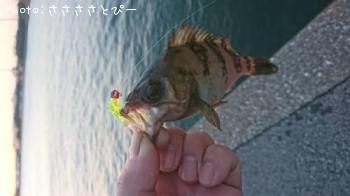 ��Х����饽��