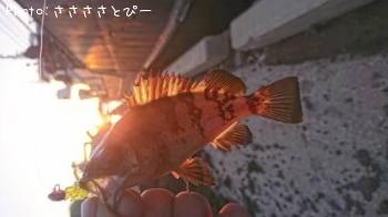 ��Х����饽��