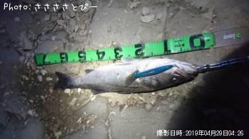 �����Х�