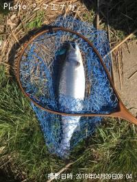 ������ޥ�