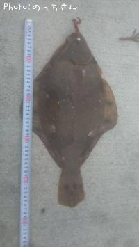 �ۥ����쥤