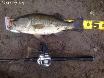 �֥�å��Х�