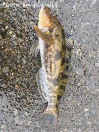 �����ʥ�