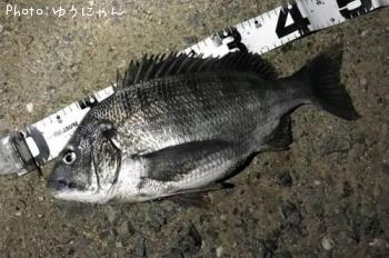 ���������ʡ�