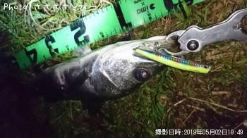 �����Х�