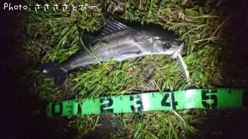 �����Х�