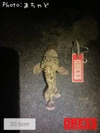 ¥ª¥Ë¥«¥µ¥´