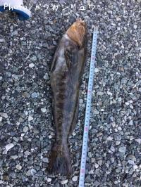 �����ʥ�