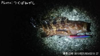 �����ϥ�