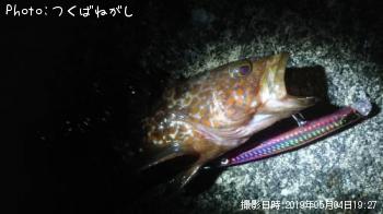 �����ϥ�