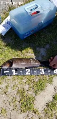 �����ʥ�