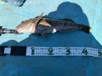 �����ʥ�