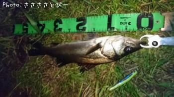 �����Х�