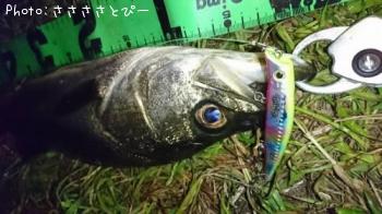 �����Х�