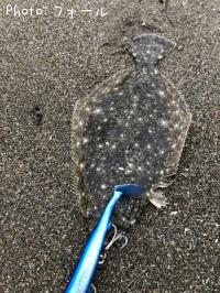 �ҥ��
