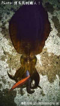 �����ꥤ��