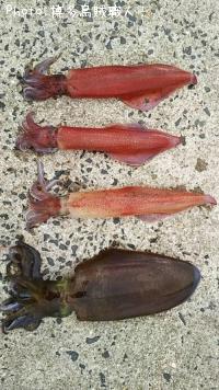 �����ꥤ��