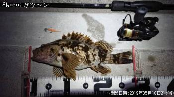 �����Υ���Х�