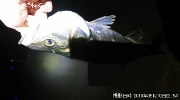 �����Х�