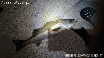 �����Х�