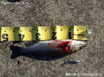 �����Х�