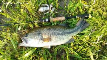 ¥Ö¥é¥Ã¥¯¥Ð¥¹