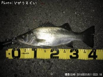�����Х��ʥҥ饻������