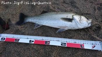 �����Х�