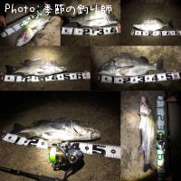 ¥¯¥í¥À¥¤¡¢¥·¡¼¥Ð¥¹