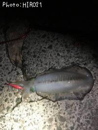 ¥¢¥ª¥ê¥¤¥«