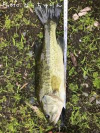 �֥�å��Х�